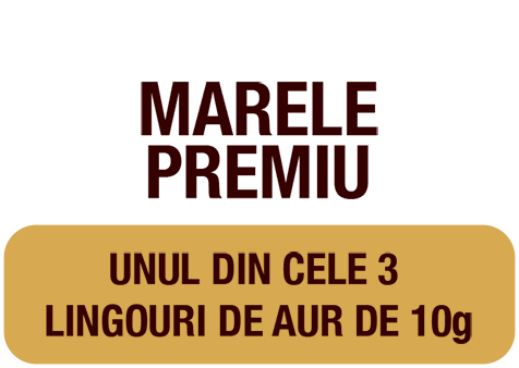 Unul dintre cele 3 lingouri de aur de 10g!